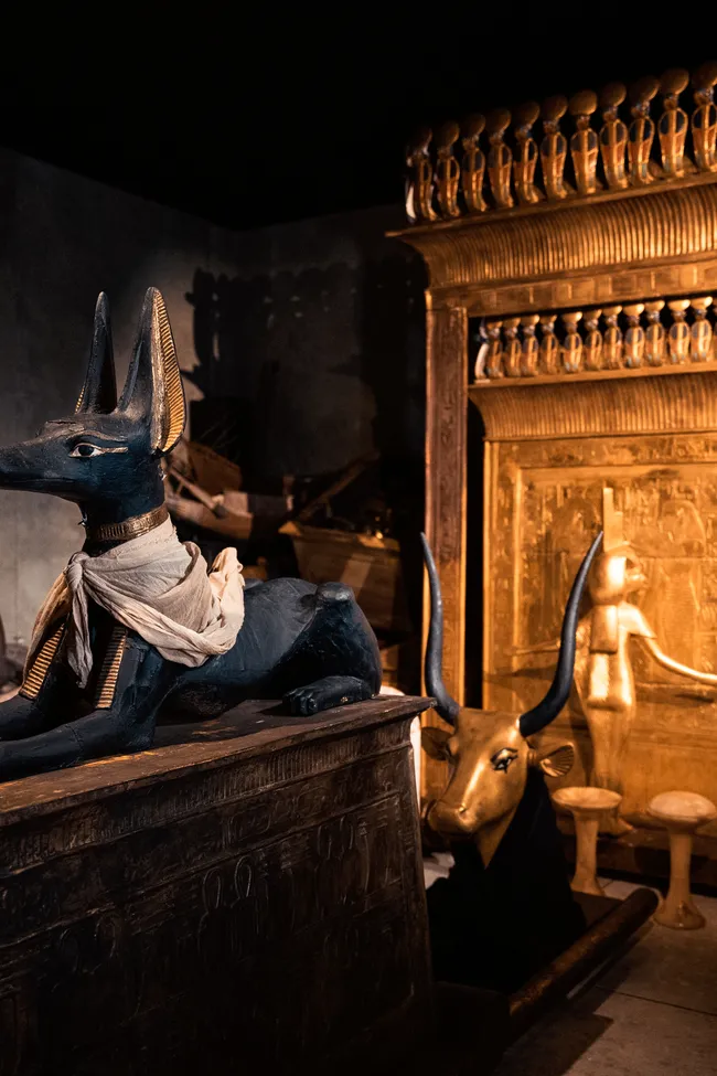 An image from the exhibition.