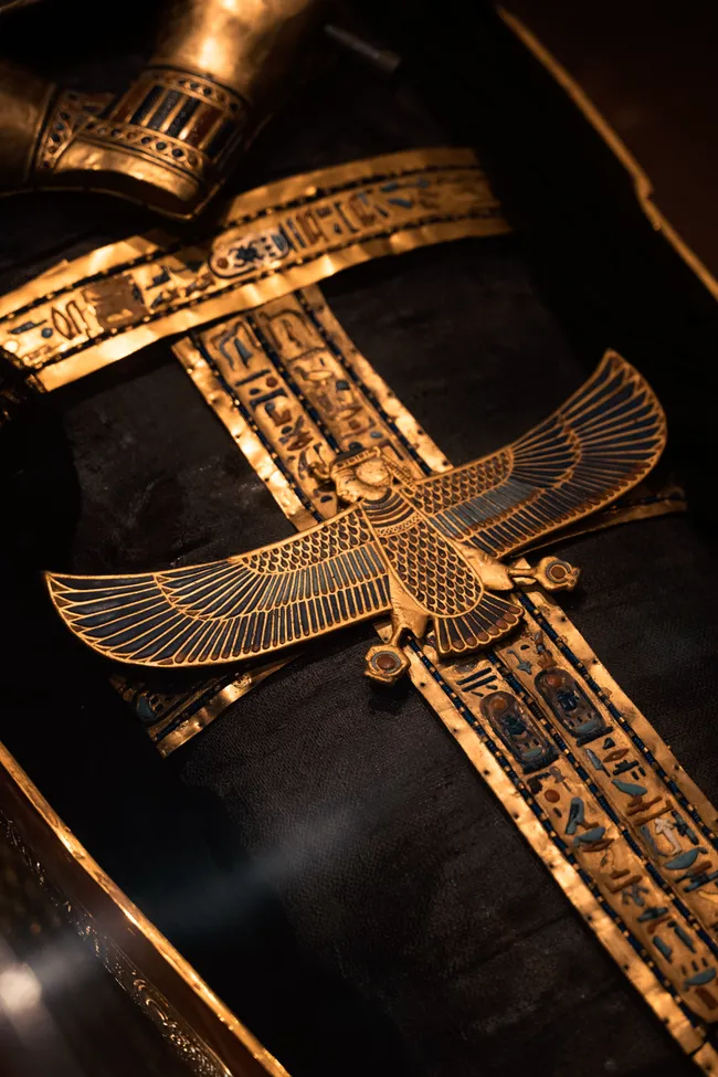 An image from the exhibition.